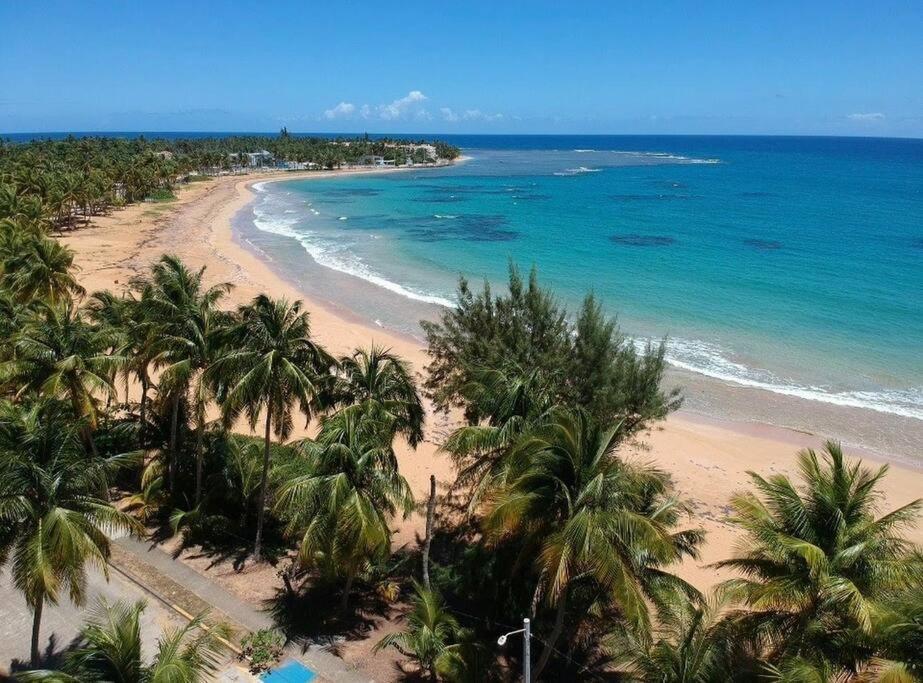 Relaxing Studio Near El Yunque With Pool View Luquillo Eksteriør bilde