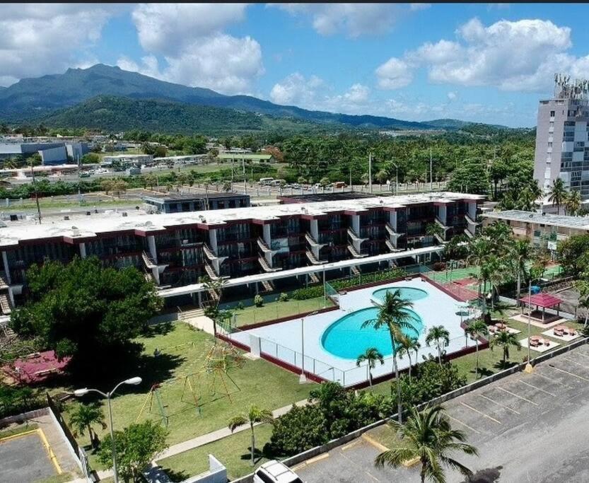 Relaxing Studio Near El Yunque With Pool View Luquillo Eksteriør bilde
